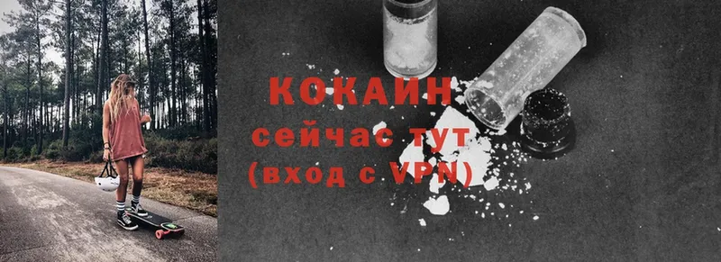 Cocaine FishScale  блэк спрут tor  Воронеж 